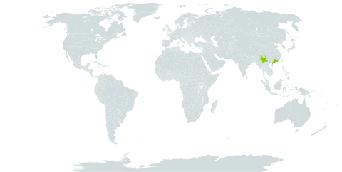 Aristolochia westlandii world distribution map, present in China