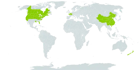 Armoracia rusticana world distribution map, present in Canada, China, France, New Zealand, and United States of America