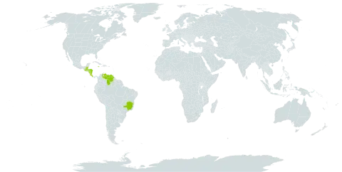 Arpophyllum giganteum world distribution map, present in Belize, Brazil, Costa Rica, Guatemala, Honduras, Jamaica, Nicaragua, and Venezuela (Bolivarian Republic of)