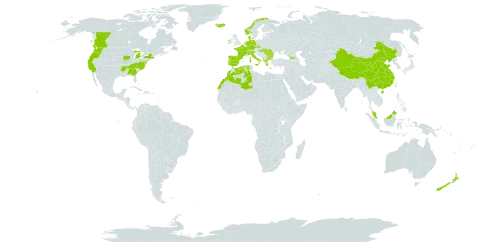 Arrhenatherum elatius subsp. bulbosum world distribution map, present in Åland Islands, Albania, Bulgaria, Canada, Switzerland, China, Czech Republic, Germany, Denmark, Algeria, Spain, France, Micronesia (Federated States of), Georgia, Greece, Hungary, Ireland, Iceland, Italy, Morocco, Malaysia, Netherlands, Norway, New Zealand, Portugal, Romania, Turks and Caicos Islands, and United States of America