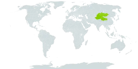 Artemisia dracunculus var. changaica world distribution map, present in China and Mongolia