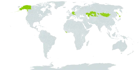 Artemisia laciniata subsp. laciniata world distribution map, present in Austria, Canada, Germany, Japan, Kazakhstan, Liberia, Mongolia, Russian Federation, and United States of America