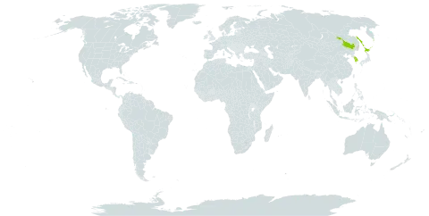 Artemisia littoricola world distribution map, present in China, Japan, Korea (Republic of), and Russian Federation