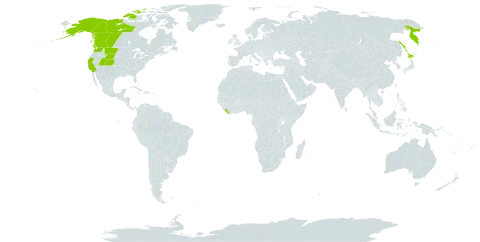 Artemisia norvegica subsp. saxatilis world distribution map, present in Canada, Japan, Liberia, Russian Federation, and United States of America