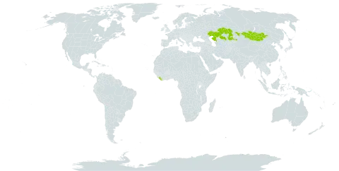 Artemisia tomentella world distribution map, present in Kazakhstan, Liberia, and Mongolia