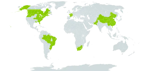 Artemisia vulgaris world distribution map, present in Brazil, Canada, China, France, Pakistan, United States of America, and South Africa