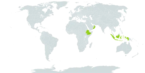 Arthraxon cuspidatus world distribution map, present in Ethiopia, Indonesia, and Oman