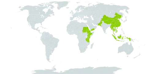 Arthraxon lanceolatus world distribution map, present in China, Eritrea, Ethiopia, Indonesia, Kenya, Myanmar, Nepal, Pakistan, Sudan, Thailand, Tanzania, United Republic of, Viet Nam, and Yemen