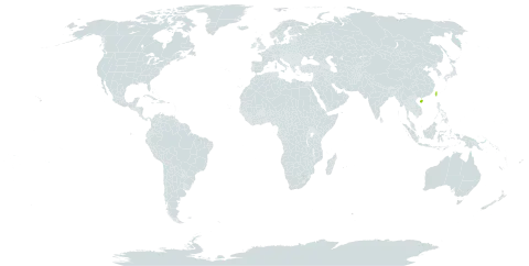 Asarum epigynum world distribution map, present in China and Taiwan, Province of China