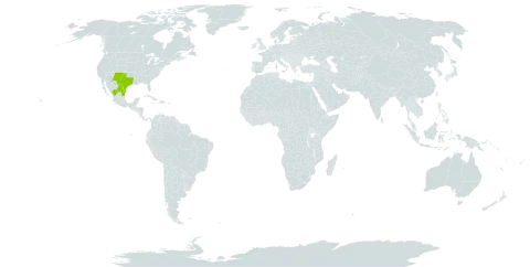 Asclepias emoryi world distribution map, present in Mexico and United States of America