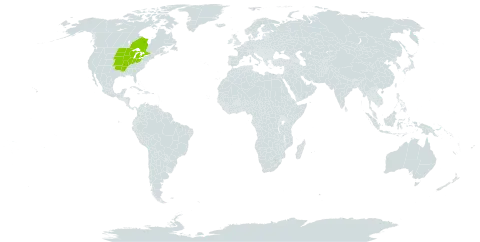 Asclepias sullivantii world distribution map, present in Canada and United States of America