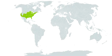 Asclepias tuberosa world distribution map, present in United States of America