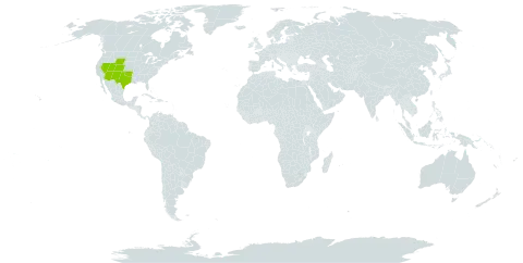 Asclepias uncialis world distribution map, present in United States of America