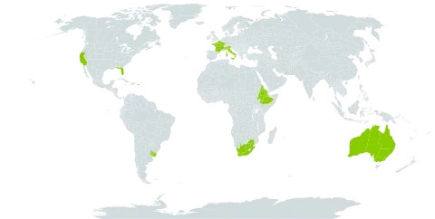 Asparagus aethiopicus world distribution map, present in Australia, Bermuda, Eritrea, Ethiopia, France, Italy, Mauritius, Norfolk Island, Nauru, Puerto Rico, Uruguay, United States of America, and South Africa