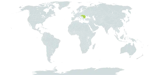 Asperula capitata world distribution map, present in Bulgaria, Hungary, and Romania