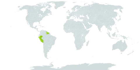 Aspidogyne clavigera var. rhodostachys world distribution map, present in Guyana, Peru, and Suriname