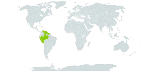 Aspidogyne pumila world distribution map, present in Brazil, Guyana, Peru, Suriname, and Venezuela (Bolivarian Republic of)