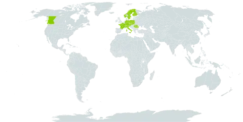 Asplenium adulterinum world distribution map, present in Austria, Bosnia and Herzegovina, Canada, Switzerland, Czech Republic, Germany, Finland, France, Italy, Norway, Poland, Romania, Serbia, Slovakia, Slovenia, and Sweden