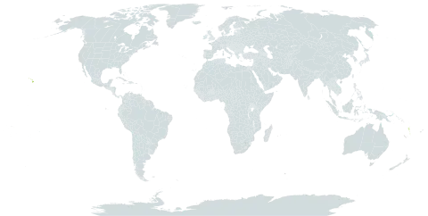 Asplenium insiticium world distribution map, present in American Samoa, Cook Islands, Philippines, United States of America, Vanuatu, and Samoa