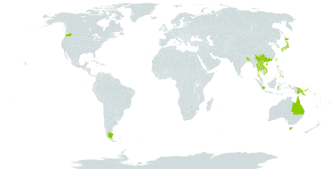 Asplenium nidus world distribution map, present in Argentina, American Samoa, Australia, Bangladesh, China, Fiji, Micronesia (Federated States of), Guam, Indonesia, Japan, Kiribati, Lao People's Democratic Republic, Sri Lanka, Marshall Islands, Northern Mariana Islands, Niue, Philippines, Palau, Papua New Guinea, Singapore, Solomon Islands, Thailand, Tokelau, Tonga, Trinidad and Tobago, Tuvalu, Taiwan, Province of China, United States of America, Viet Nam, Vanuatu, and Samoa