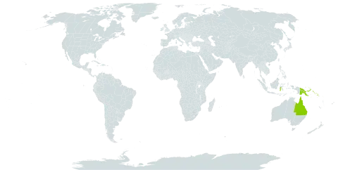 Asplenium nigrescens world distribution map, present in Australia, Indonesia, Philippines, Papua New Guinea, and Solomon Islands