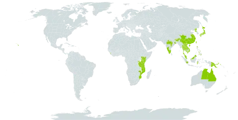 Asplenium normale world distribution map, present in Australia, Bhutan, China, Indonesia, India, Japan, Kenya, Cambodia, Lao People's Democratic Republic, Sri Lanka, Myanmar, Mozambique, Malawi, Malaysia, Nepal, Philippines, Papua New Guinea, Korea (Democratic People's Republic of), Rwanda, Thailand, Taiwan, Province of China, Tanzania, United Republic of, Uganda, United States of America, and Viet Nam