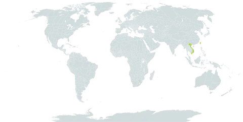 Asplenium pifongiae world distribution map, present in Taiwan, Province of China and Viet Nam