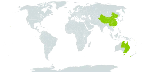 Asplenium polyodon world distribution map, present in American Samoa, Australia, China, Micronesia (Federated States of), New Zealand, Solomon Islands, and United States of America