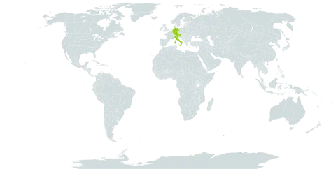 Asplenium seelosii subsp. seelosii world distribution map, present in Austria, Germany, Italy, and Slovenia