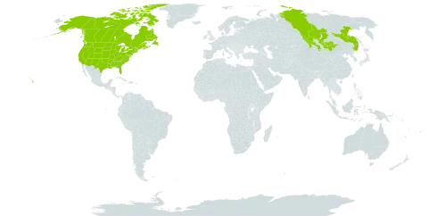 Astragalus adsurgens world distribution map, present in Canada, Mongolia, Russian Federation, and United States of America