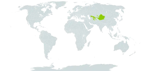 Astragalus alopecias world distribution map, present in Afghanistan, China, Kazakhstan, Kyrgyzstan, Tajikistan, Turkmenistan, and Uzbekistan