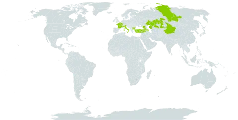 Astragalus alopecurus world distribution map, present in Armenia, Azerbaijan, Bulgaria, China, France, Georgia, Italy, Kazakhstan, Russian Federation, and Turkey