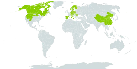 Astragalus alpinus world distribution map, present in Austria, Canada, Switzerland, China, Czech Republic, Germany, Spain, Finland, France, Italy, Norway, Poland, Romania, Sweden, and United States of America