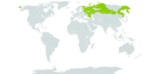 Astragalus baeri world distribution map, present in Russian Federation