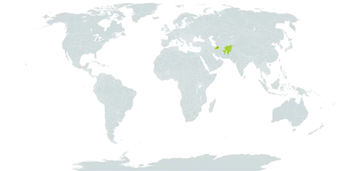 Astragalus biarjmandicus world distribution map, present in Afghanistan and Iran (Islamic Republic of)