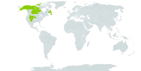 Astragalus bodinii world distribution map, present in Canada and United States of America