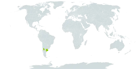 Astragalus bonariensis world distribution map, present in Argentina and Uruguay