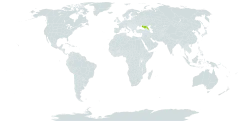 Astragalus brachytropis world distribution map, present in Azerbaijan, Georgia, and Russian Federation