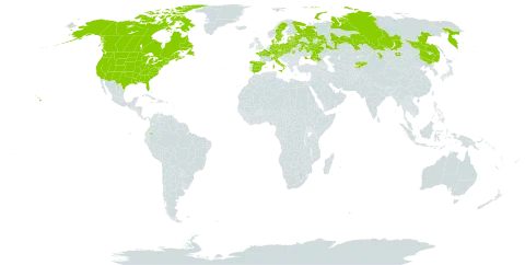 Astragalus danicus world distribution map, present in Austria, Belarus, Canada, China, Czech Republic, Germany, Denmark, Ecuador, Spain, Estonia, France, United Kingdom of Great Britain and Northern Ireland, Italy, Kazakhstan, Kyrgyzstan, Lithuania, Latvia, Mongolia, Poland, Russian Federation, Slovakia, Sweden, Ukraine, and United States of America