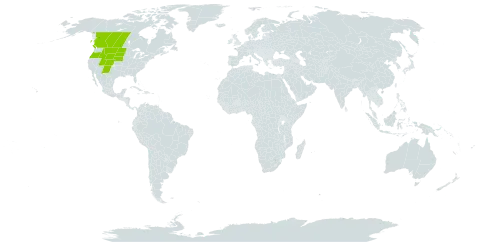 Astragalus drummondii world distribution map, present in Canada and United States of America