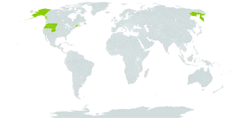 Astragalus eucosmus world distribution map, present in Russian Federation and United States of America