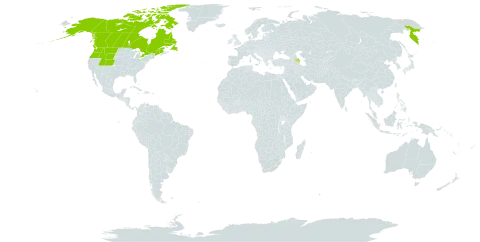 Astragalus eucosmus world distribution map, present in Azerbaijan, Canada, Russian Federation, and United States of America