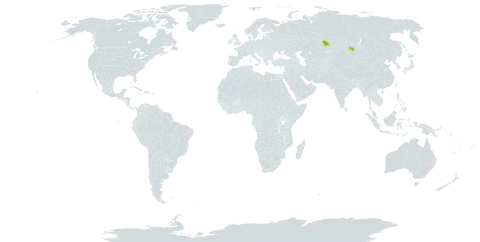 Astragalus follicularis world distribution map, present in Kazakhstan and Mongolia