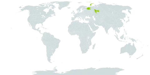 Astragalus gorczakovskii world distribution map, present in Russian Federation