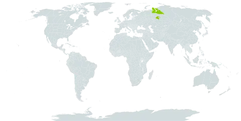 Astragalus gorodkovii world distribution map, present in Russian Federation