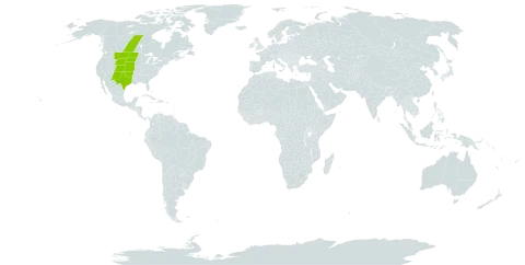 Astragalus gracilis world distribution map, present in Canada and United States of America