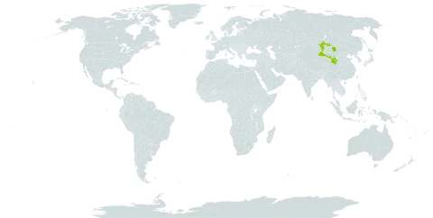 Astragalus junatovii world distribution map, present in China and Mongolia