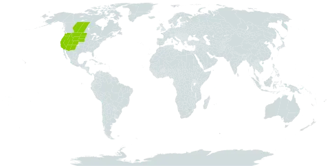 Astragalus kentrophyta world distribution map, present in Canada and United States of America