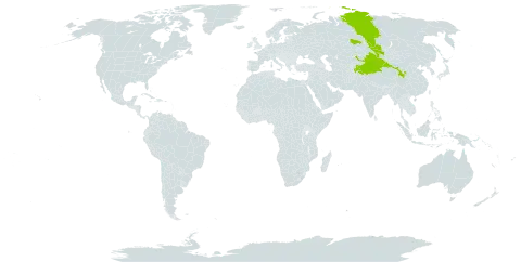 Astragalus leptostachys world distribution map, present in Afghanistan, China, India, Kazakhstan, Kyrgyzstan, Mongolia, Pakistan, Russian Federation, and Tajikistan