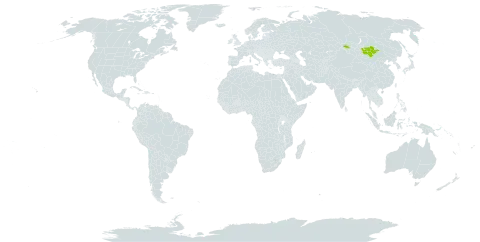 Astragalus melilotoides var. tenuis world distribution map, present in Mongolia